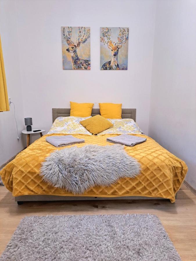 Belvarosi Lux Apartman Vásárosnamény Buitenkant foto